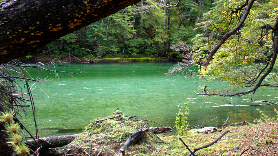 Patagonia fly fishing