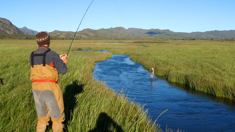 Patagonia fly fishing